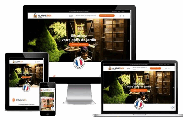 Webmaster développeur